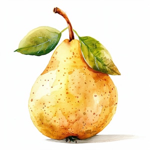 Clipart pera, 12 PNG di alta qualità, arte della scuola materna/clip art, creazione di cartoline, creazione di carta digitale, pittura ad acquerello