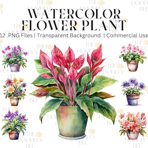 House Plants Clipart. 12 Potted flowers clipart, outdoor houseplants. Floral clipart PNG. Summer. Digital watercolor. commercial use.