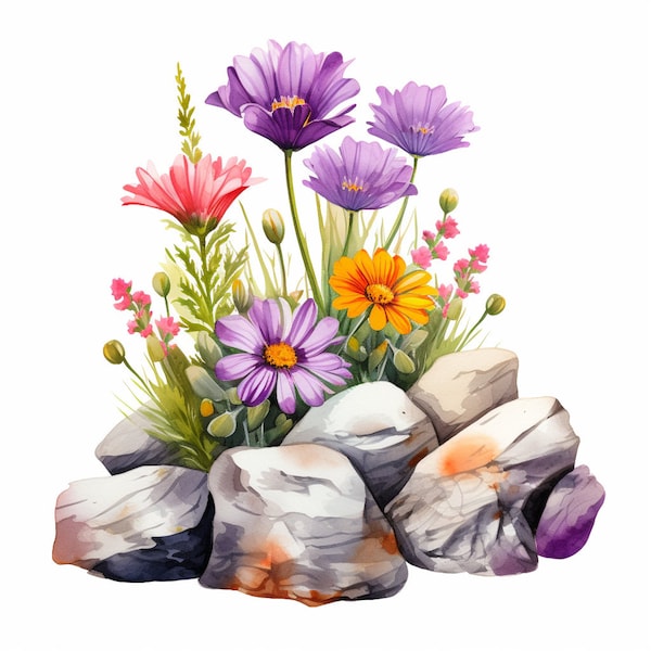 Wildflowers On Rocks Clipart, 12 High Quality PNG , Botanical Art, Digital Download, Card Making, Journaling, Digital Paper Craft