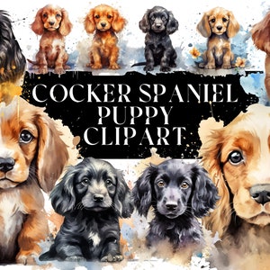 Lot de 20 aquarelle Cocker Spaniel Puppy Clipart pour un usage commercial - téléchargement immédiat - chiots/cocker spaniel/chiots/clipart