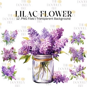 Imágenes prediseñadas lilas, 12 imágenes prediseñadas de flores de acuarela, imágenes prediseñadas de boda, imágenes prediseñadas de flores de primavera y verano, impresión botánica, PNG imprimible, álbum de recortes