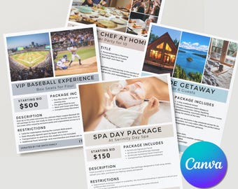 May include: Four different auction item descriptions for a VIP baseball experience, a spa day package, a chef at home dinner party, and a lake getaway. Each description includes a starting bid, package details, and restrictions.