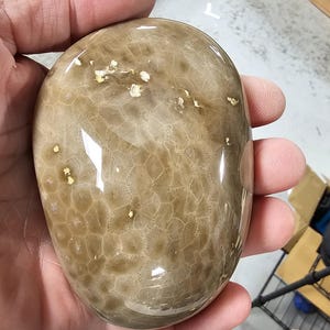 Subtle Beauty!  Soft yet gorgeous Polished Michigan Petoskey.