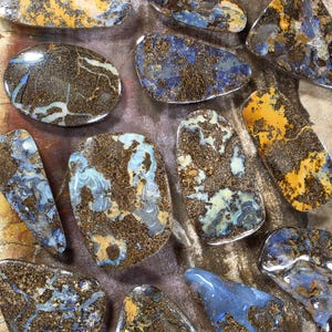 May include: A collection of twelve polished boulder opal cabochons featuring irregular shapes. Each stone displays a unique matrix of dark brown ironstone interspersed with vibrant patches of blue, gold, and cream-colored opal veins and swirls.