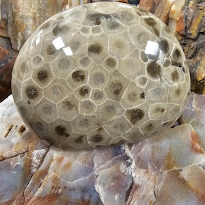 GREAT Display, Very Light Colored, solid base.