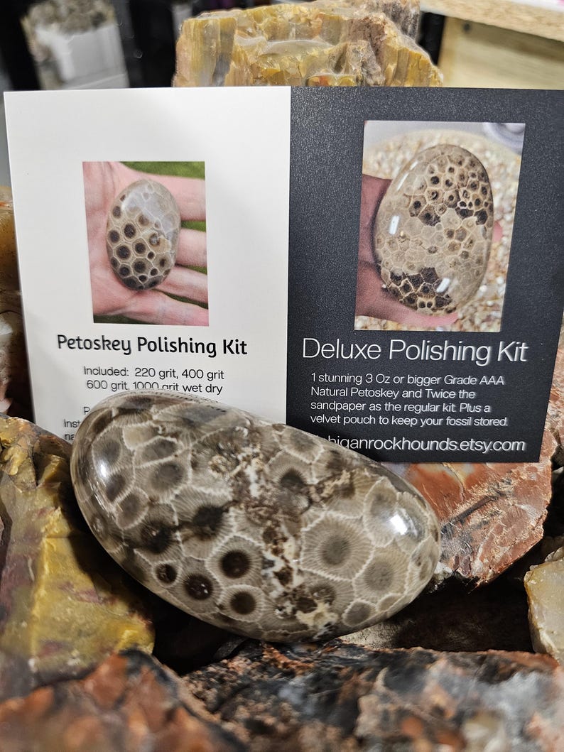May include: A polished Petoskey stone with a distinctive pattern of fossilized coral, displayed with two informational cards. The cards advertise a Petoskey Polishing Kit and a Deluxe Polishing Kit, highlighting the stone's size and grade. The stone is a light brown color.