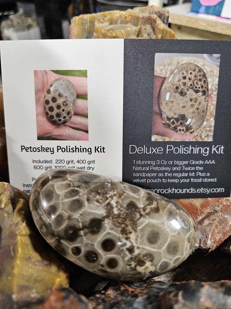 May include: A polished Petoskey stone with a distinctive honeycomb pattern, displayed with two cards advertising polishing kits. The cards show images of the stones and list kit contents. The Deluxe kit includes a velvet pouch. The Etsy shop name is visible.