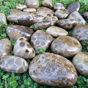 River Rocks Decorative Ornamental Pebbles Garden - Temu