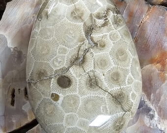 Pierre de Petoskey polie, pure du Michigan, 142 g (5 oz) P0022