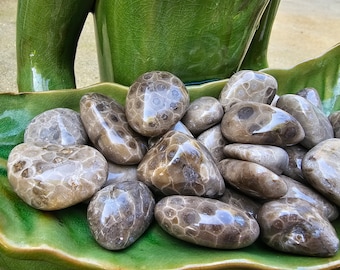 Piedra Petoskey pulida: tamaño de una pelota de golf, bolsa de terciopelo