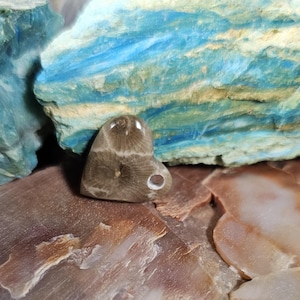 Simple Small Polished Michigan Petoskey Heart.