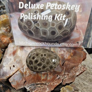 May include: A polished Petoskey stone with a distinctive honeycomb pattern, displayed on a bed of colorful rock fragments. The image includes a package labeled "Deluxe Petoskey Polishing Kit."