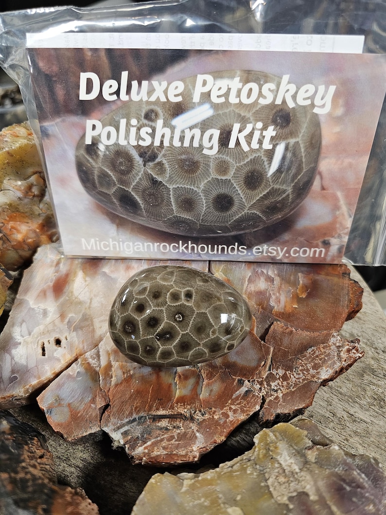 May include: A polished Petoskey stone with a distinctive honeycomb pattern, displayed on a bed of colorful rock fragments. The image includes a package labeled "Deluxe Petoskey Polishing Kit."