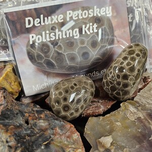 May include: A Deluxe Petoskey Polishing Kit is displayed with three polished Petoskey stones. The stones have a distinctive honeycomb pattern in shades of brown and gray. The kit includes a card with the text "Deluxe Petoskey Polishing Kit".