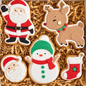 May include: A set of five decorated sugar cookies featuring a full-body Santa Claus, a winking reindeer with gold antlers, a Santa face, a snowman wearing a green hat and red scarf, and a red Christmas stocking with a green star accent.