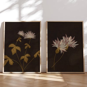 Vintage Wildflower Botanical Prints – Cottagecore Gallery Wall Art Set