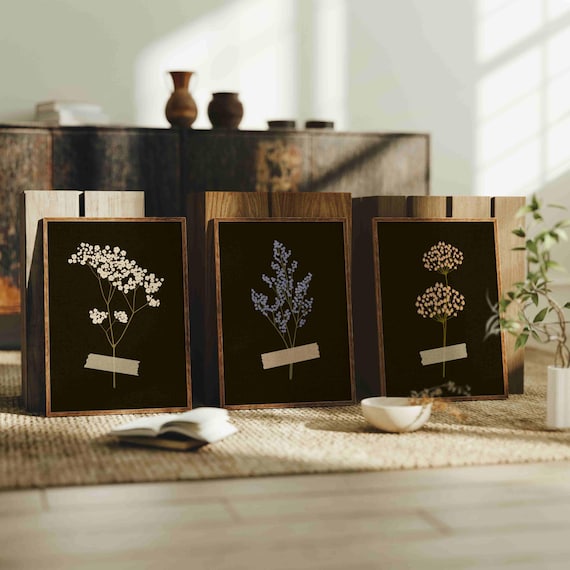 Botanical Print Set of 3: Vintage Wildflower Art, Cottagecore Home Decor