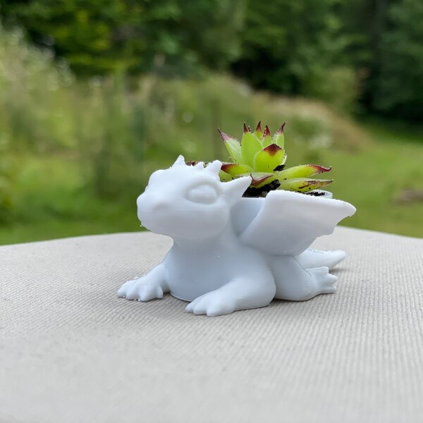 Tiny air planter - Baby dragon