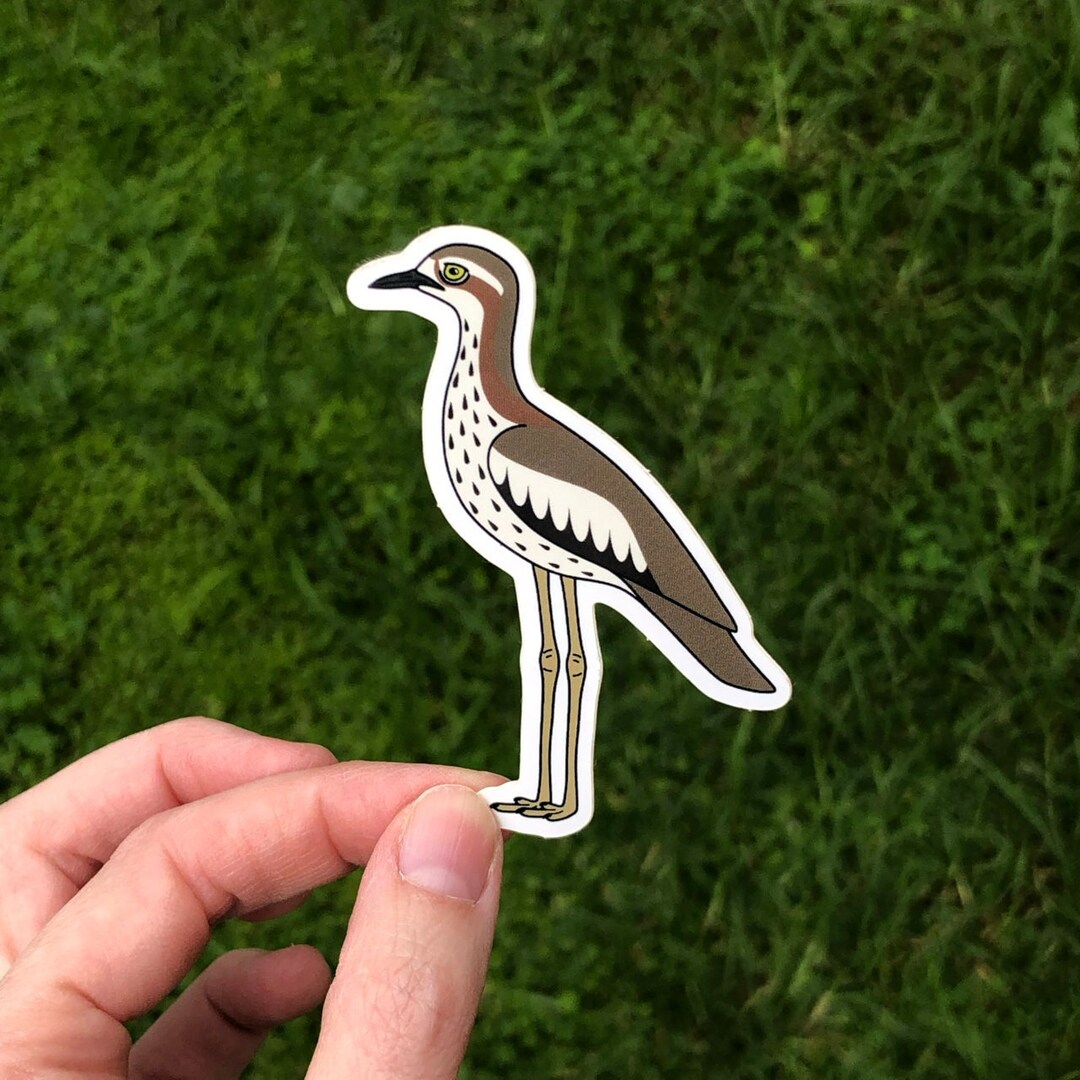 Bush Stone-curlew Sticker Murder Bird Sticker Stilt Chicken Sticker ...