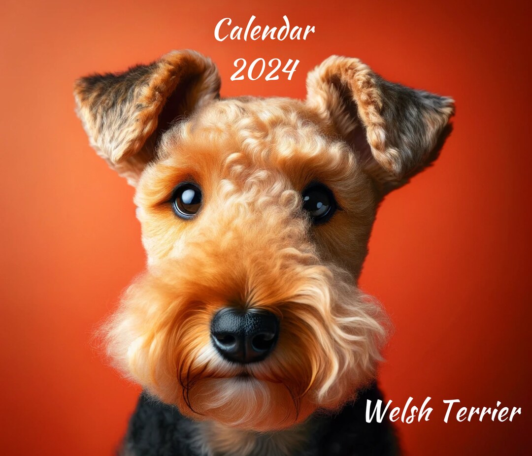 Welsh Terrier Calendar 2024, Welsh Terrier Calendar, Welsh Terrier Wall