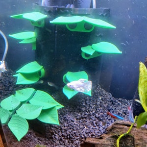 Aquarium Corner Cover Leaf Lounge Garden (Fishnacks CCLLG), Magnetically or Suction Cup Mounted