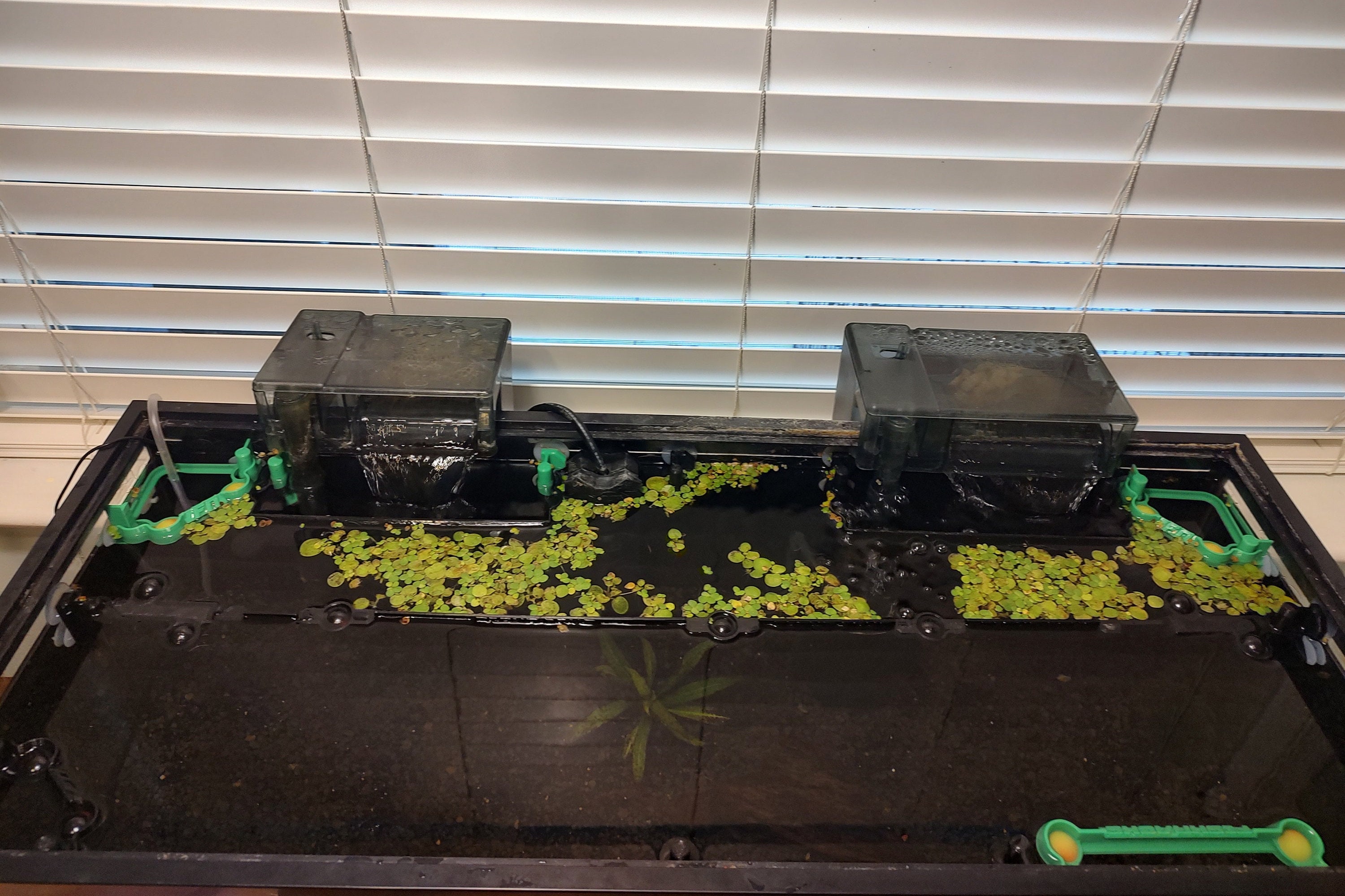 Aquariums - Verloop Aquariums | Vijvers Aquariums - Verloop Aquariums | Vijvers