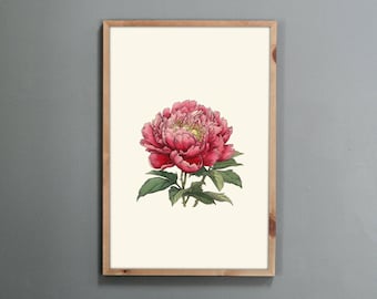 Minhwa Korean Flower Art Print: Traditional Floral Wall Decor (Digital Download)