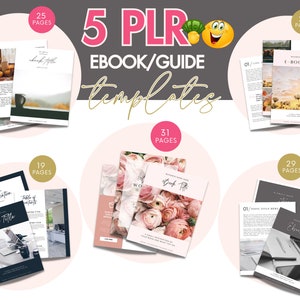 Bundle of 5 PLR Ebook or Guide Canva Templates | PLR Included!
