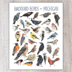 Backyard Birds of Michigan Art Print / Watercolor Painting / Nature Print / Field Guide Bird Poster / Greeting Card
