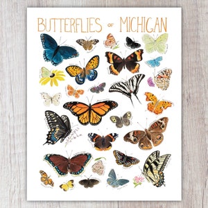 May include: A colorful illustration of butterflies found in Michigan. The butterflies are depicted in various poses and colors, including orange, blue, yellow, and black. The title "Butterflies of Michigan" is written in orange at the top of the image.