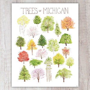 Trees of Michigan Art Print / Watercolor Painting / Nature Print / Field Guide Poster / Greeting Card