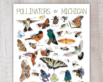 Pollinators of Michigan Art Print / Watercolor Painting / Nature Print / Field Guide Butterfly Poster / Greeting Card