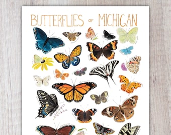 Butterflies of Michigan Art Print / Watercolor Painting / Nature Print / Field Guide Butterfly Poster / Greeting Card