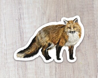 May include: A watercolor illustration of a red fox with a white chest and a bushy tail. The fox is standing on all fours and looking directly at the viewer.
