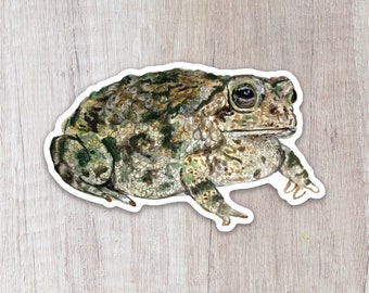 May include: A close-up of a toad with brown, green, and gray mottled skin. The toad has a large, round body and a small head with large, dark eyes. The toad is sitting on a light brown wooden surface.