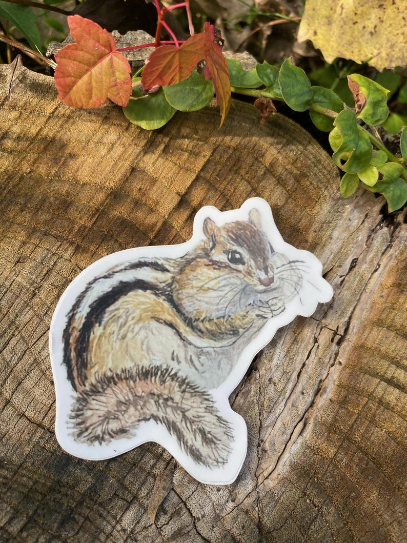 Chipmunk Sticker Chipmunk Vinyl Sticker - Etsy