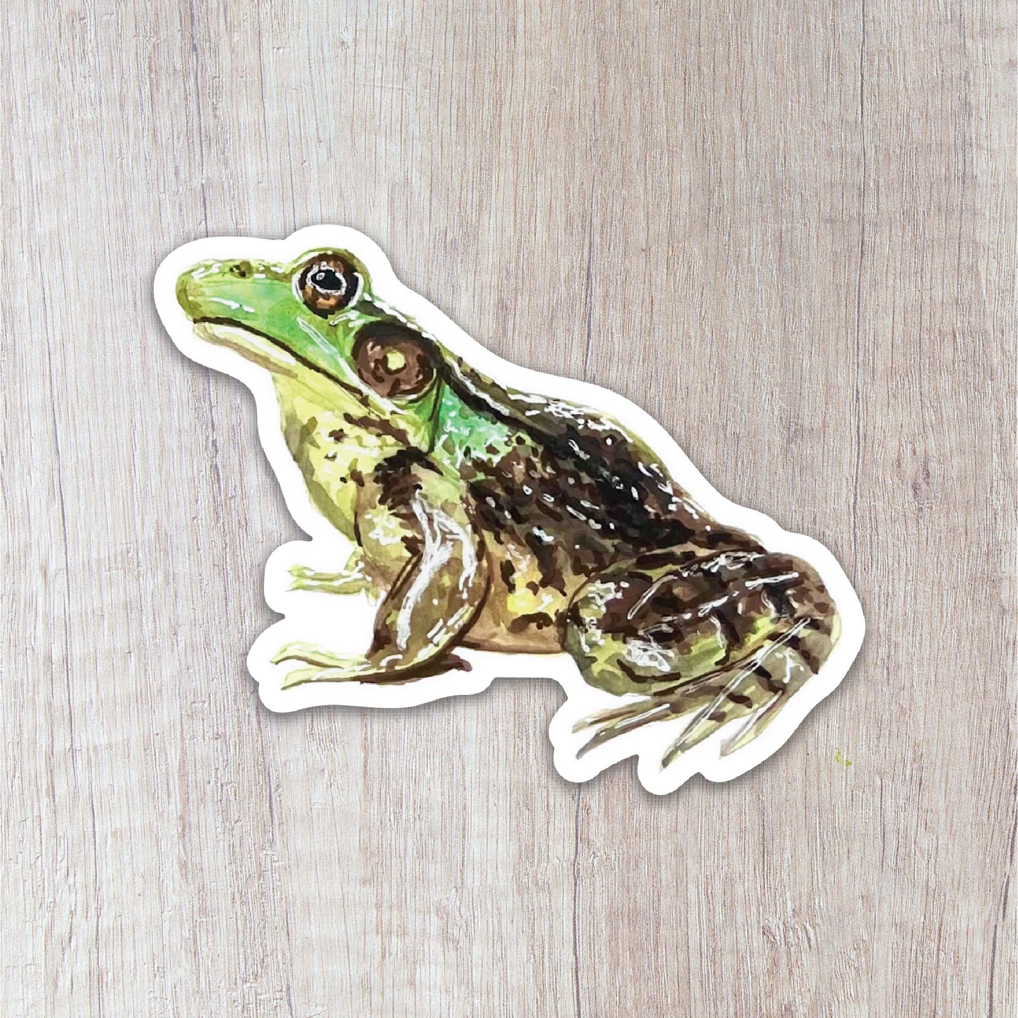 Leopard Frog Vinyl Sticker - Etsy
