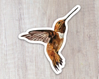 Peut inclure: Un colibri brun et blanc avec ses ailes déployées, volant vers le haut. Le colibri est représenté dans un style aquarelle.