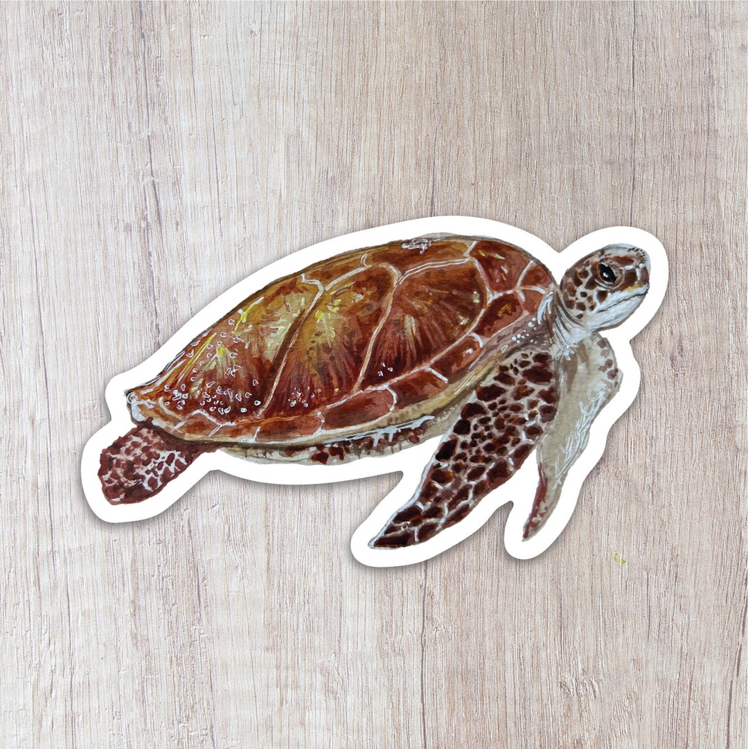 Sea Turtle Vinyl Sticker - Etsy