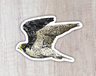 Peregrine Falcon Vinyl Sticker