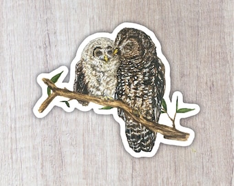 May include: Two owls, one brown and one gray, are perched on a branch with green leaves. The owls are facing each other and appear to be cuddling.