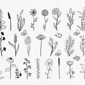 Wildflowers bundle svg, botanical svg, Bouquet svg, Bouquet svg bundle, Branches SVG, field plants svg, floral leaves svg, Floral svg