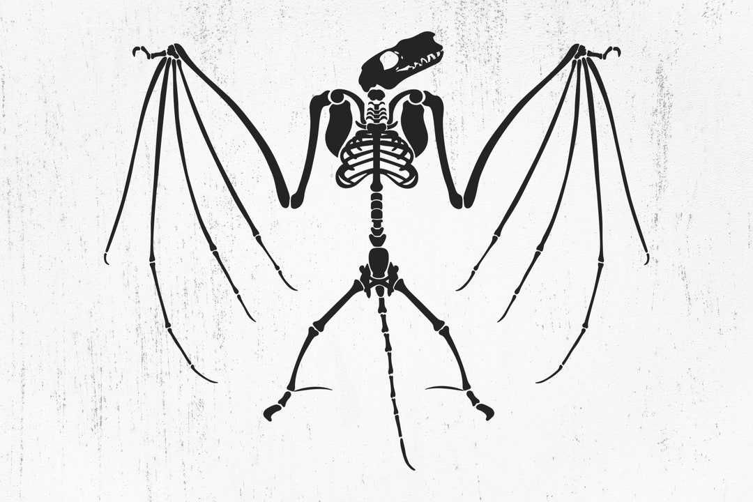 Bat Skeleton With Wings SVG, Bat Skeleton Png, Skeleton Cut File, Bat