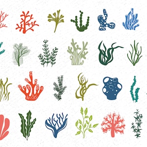 May include: A set of 24 colorful illustrations of different types of seaweed and coral. The illustrations are in a variety of styles, including cartoon, realistic, and abstract.