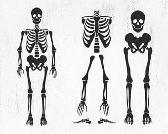 Skeleton SVG, Skeleton parts Svg, Skeleton Png, Skeleton Cut File, Skeleton Bones Svg, Skeleton parts Png, Skeleton parts kit SVG, Human