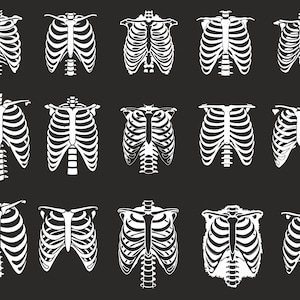 Skeleton Torso Bundle SVG, Skeleton SVG, Skelett Teile SVG, Skeleton Cut File, Skeleton Bones svg