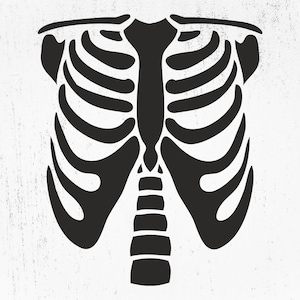 Skelett Torso svg, Skelett SVG, Skelett Teile svg, Skelett svg, Halloween Skelett, Skelett geschnitten Datei, Skelett Knochen svg