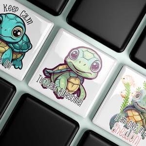 May include: Square white magnets with cartoon turtle illustrations. One magnet reads "Keep Calm And Shell On!" in black script. Another says "Turtlely Awesome!" and a third says "I am ONE in a Shellion!" The turtles are teal, green, and yellow.