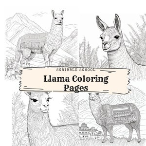 Llama Coloring Pages