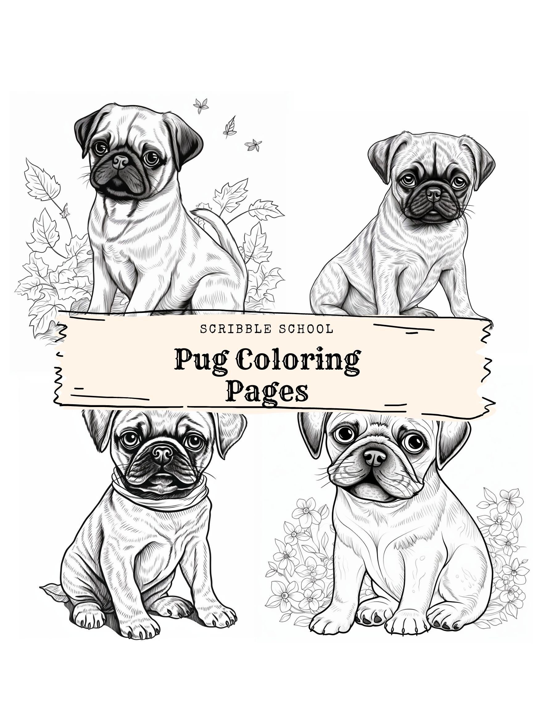 Pug Coloring Pages Etsy
